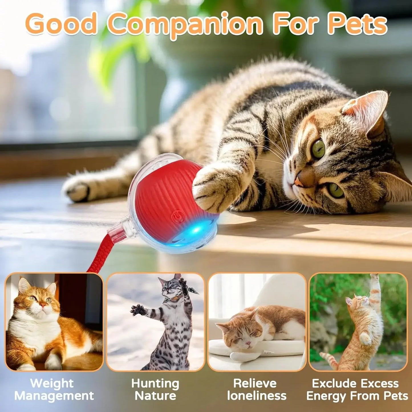 Interactive Auto-Rolling Cat Ball Toy – Rechargeable Sound