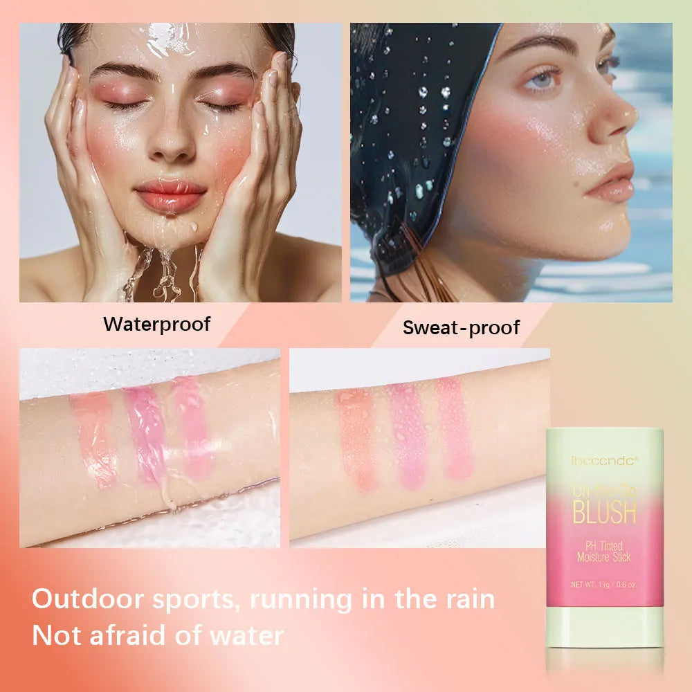 3-in-1 Tinted Moisture Stick for Cheeks, Lips and Eyes - EverGrowMarkeplace