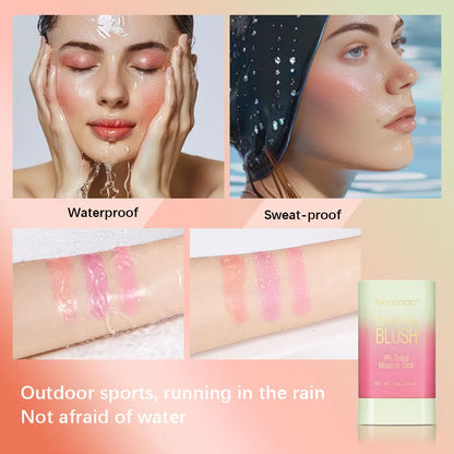 3-in-1 Tinted Moisture Stick for Cheeks, Lips and Eyes - EverGrowMarkeplace