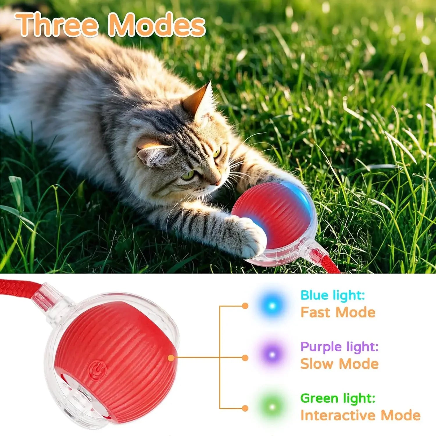 Interactive Auto-Rolling Cat Ball Toy – Rechargeable Sound