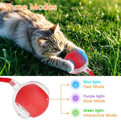 Interactive Auto-Rolling Cat Ball Toy – Rechargeable Sound