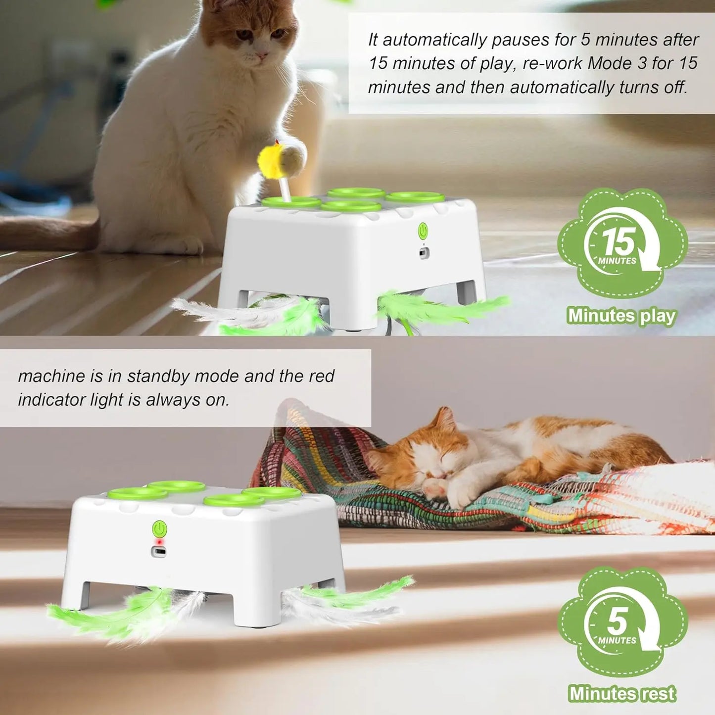 Interactive Whack-a-Mole Cat Toy With Rotating Feather