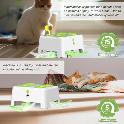 Interactive Whack-a-Mole Cat Toy With Rotating Feather