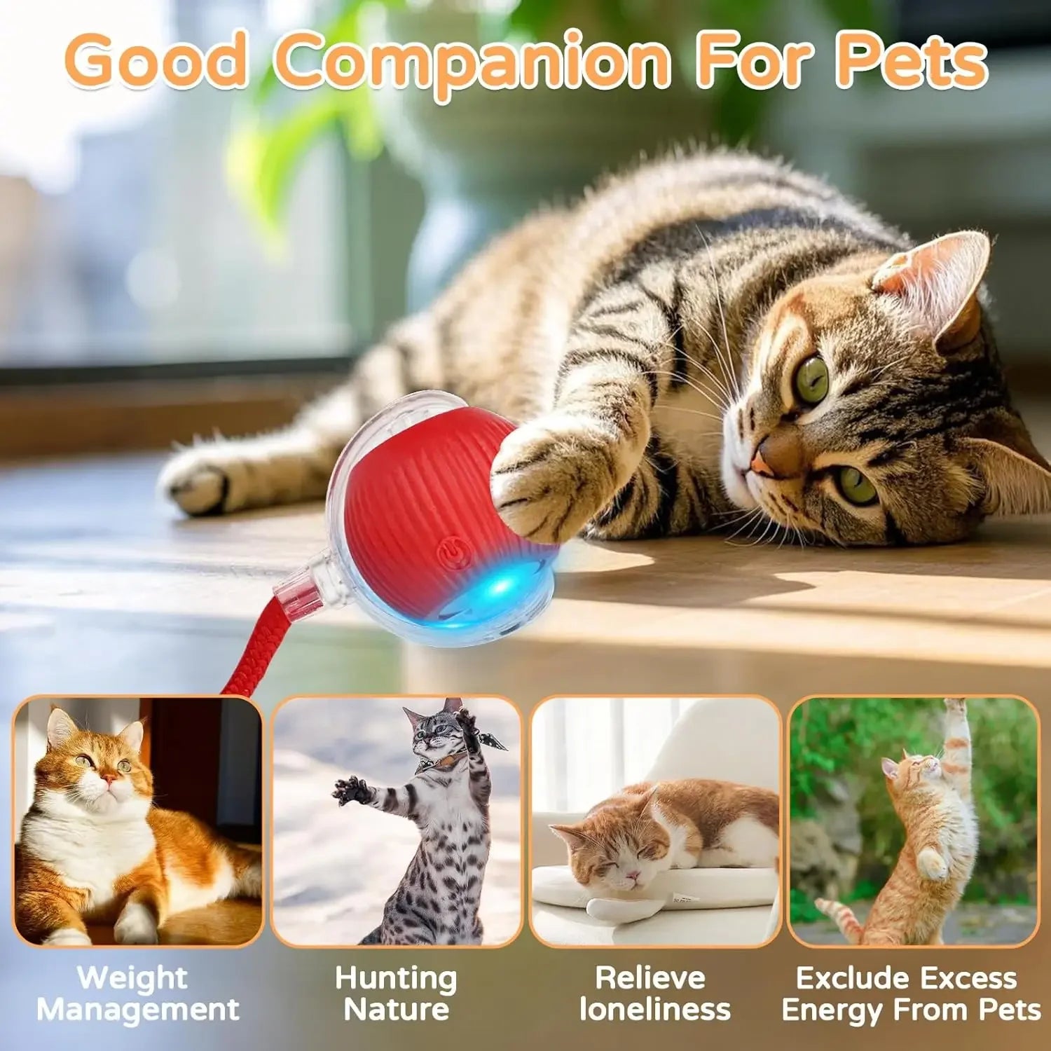 Interactive Auto-Rolling Cat Ball Toy – Rechargeable Sound