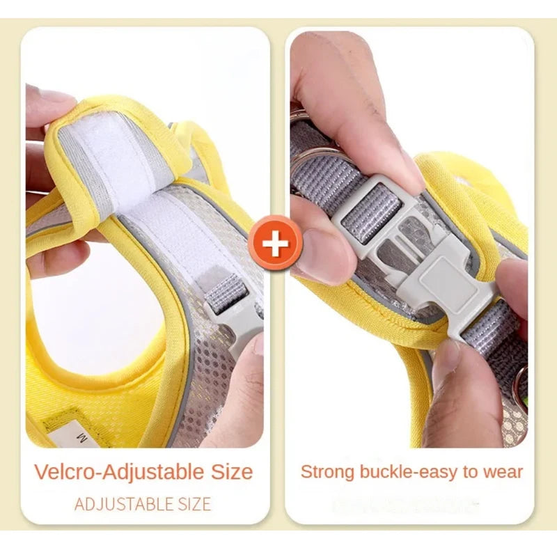 Reflective Mesh Pet Harness Vest with Leash Set