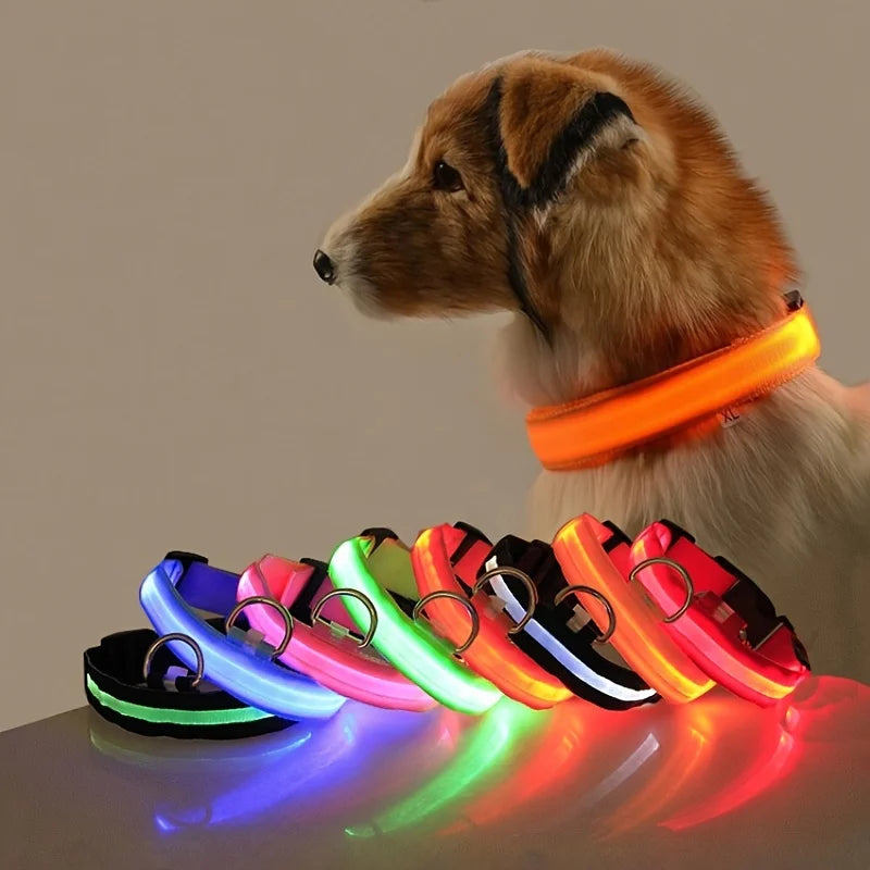 LED Nylon Dog Collar – Light-Up Night Safety Collar