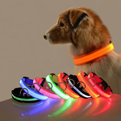 LED Nylon Dog Collar – Light-Up Night Safety Collar