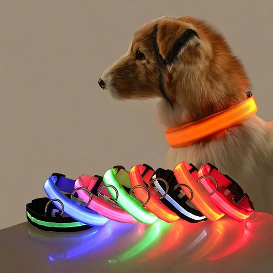LED Nylon Dog Collar – Light-Up Night Safety Collar