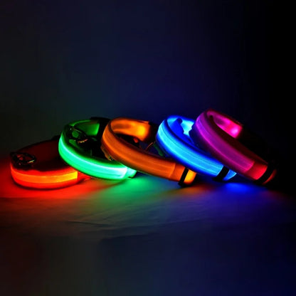 LED Nylon Dog Collar – Light-Up Night Safety Collar