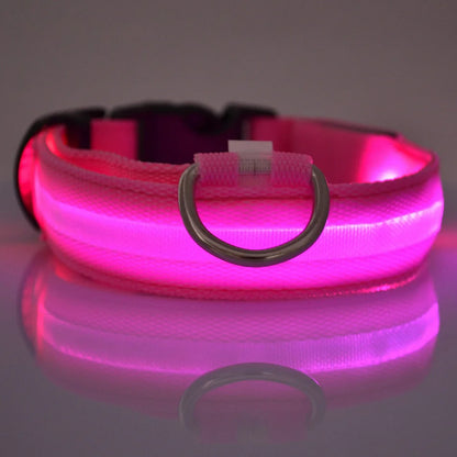 LED Nylon Dog Collar – Light-Up Night Safety Collar