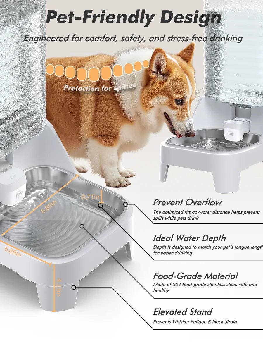8L Elevated Dog Water Dispenser – Stainless Steel Bowl