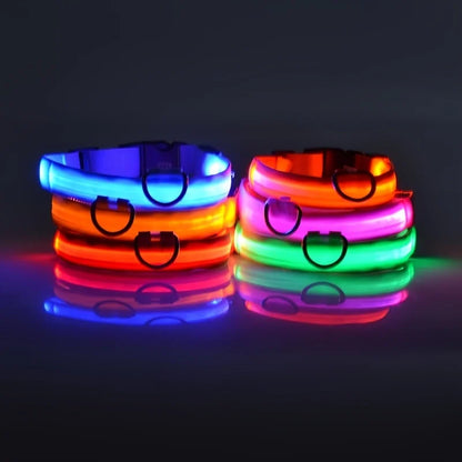 LED Nylon Dog Collar – Light-Up Night Safety Collar