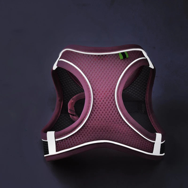 Reflective Mesh Pet Harness Vest with Leash Set