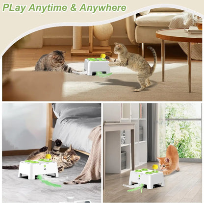 Interactive Whack-a-Mole Cat Toy With Rotating Feather