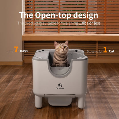 Open-Top Self-Cleaning Cat Litter Box – Automatic Odor Control