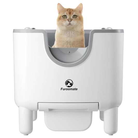 Open-Top Self-Cleaning Cat Litter Box – Automatic Odor Control