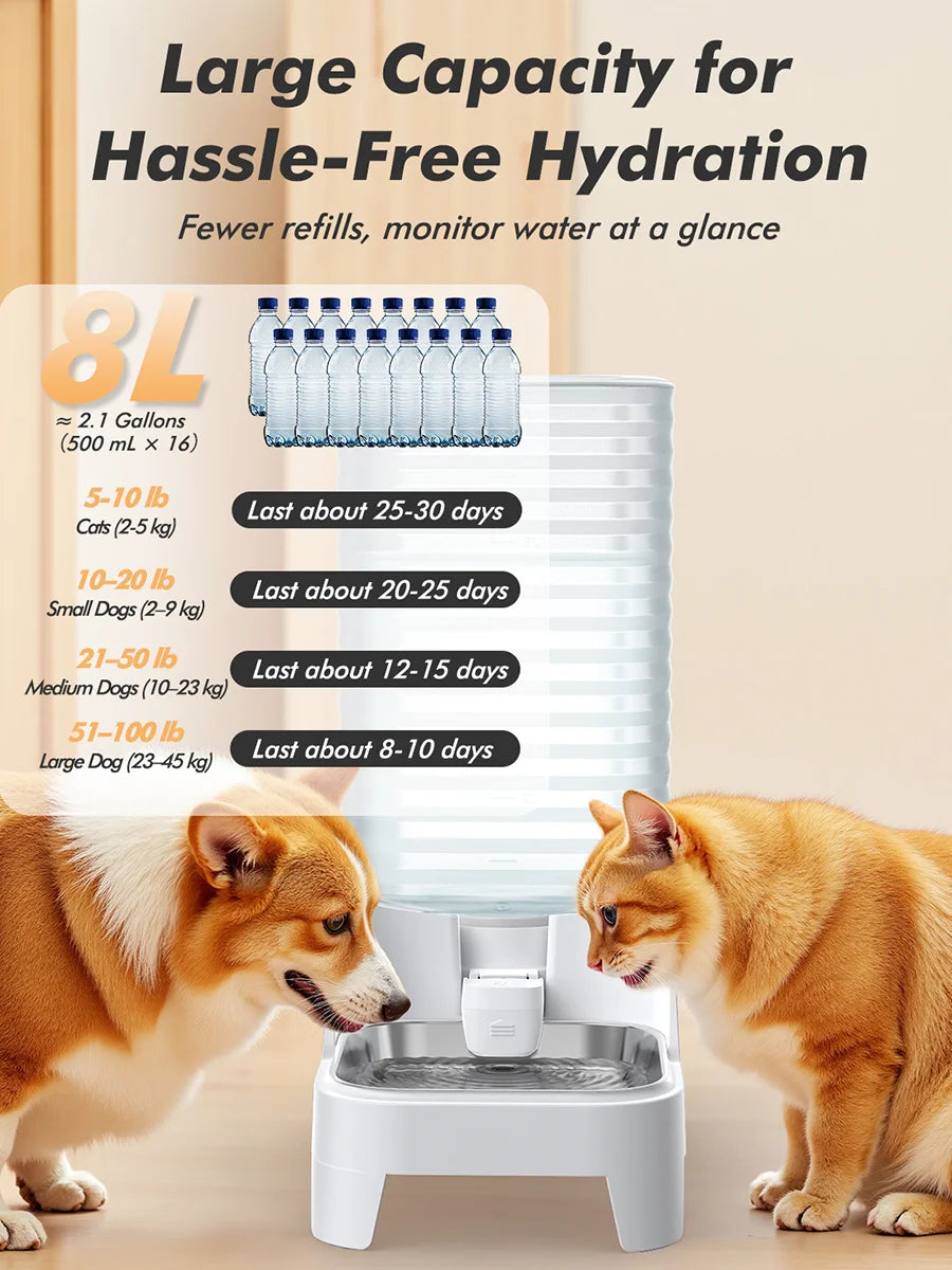 8L Elevated Dog Water Dispenser – Stainless Steel Bowl